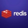 Redis Cache Pro