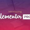Elementor Pro - The Most Advanced Website Builder Plugin