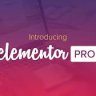 Elementor Pro - The Most Advanced Website Builder Plugin