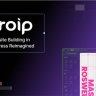 Droip v2.1.6 - No-Code website builder for WordPress