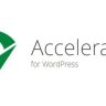Seraphinite Accelerator v2.27.25