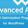 Advanced Ads Pro 3.0.4