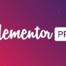 Elementor Pro v3.29.1 - The Most Advanced Website Builder Plugin