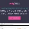 Tasty Pins v2.3 - Optimize your images for SEO and Pinterest