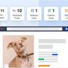 All in One SEO Pack Pro