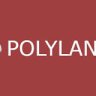 Polylang Pro - Multilingual Plugin