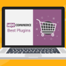 BEAR  - WooCommerce Bulk Editor and Products Manager Professional