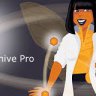 Beehive Pro  - WordPress Plugin