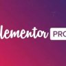 Elementor Pro
