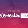 Elementor Pro