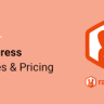RafflePress Pro  - The Best WordPress Giveaway Plugin